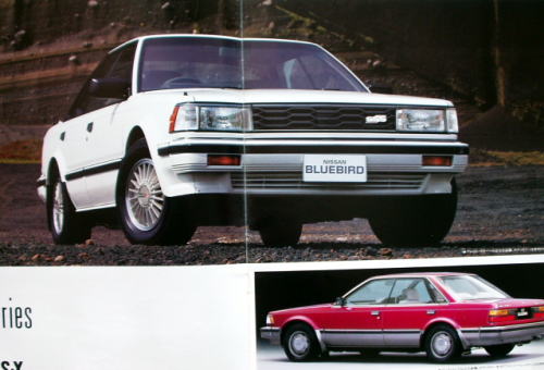 Ư ٰްSSS 1984N10